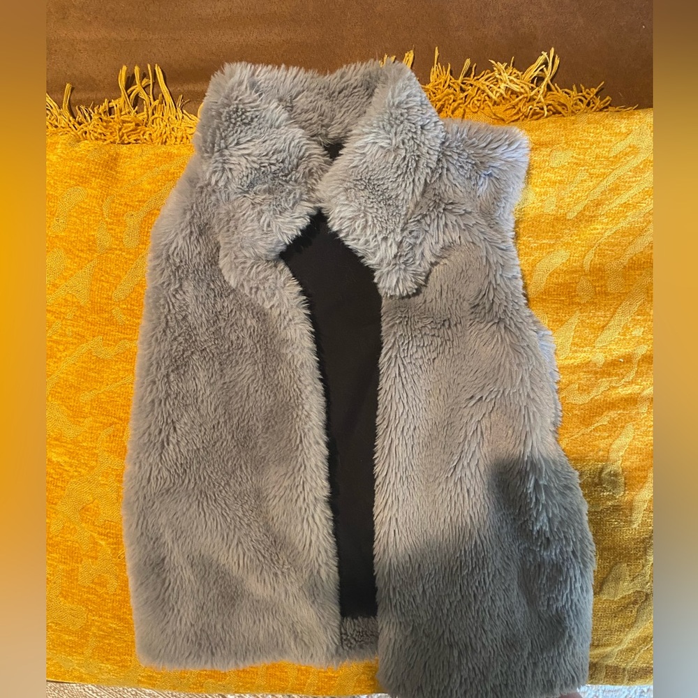 Splendid Faux Fur Vest